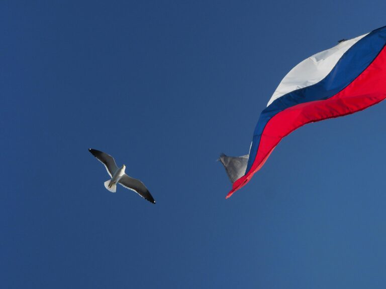 La diplomatie culturelle russe : La Russie est-elle une puissance attractive en Europe ? (2024)